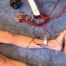 ab-127 Punished for stealing Part 2 (4)