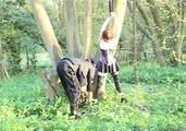 Sarah in the Woods