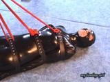 Suspension