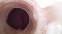 CUCKOLD WET TIMES