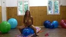 Bibi 33