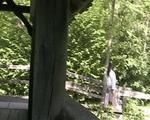 barfoot in public