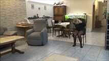 Paula - New prisoner in the house Part 5 of 8