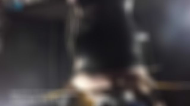 Swing on our schlongs!