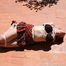 Lola - Supertight Hogtie Under The Spanish Sun (Pictures)