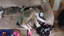 The blanket thief