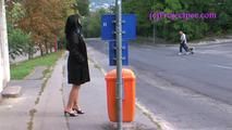 050015 Roxy Takes A Very Daring Pee At The Bus Stop
