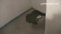056026 Kasha Cannot Find The Ladies And So Pees In A Cupboard