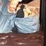 Mara tied, gagged crotchroped and hogtied on a princess bed in an old cellar by Sophie both wearing shiny downwear (Pics)