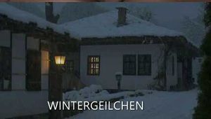 WINTER WONDERLAND