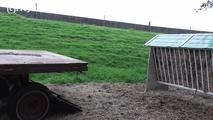 078032 Rachel Evans Pees Off The Farm Trailer