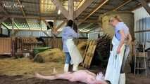 Slaughter day with Amely Pain which pig is today's turn