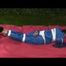 a video with Nicole tied and gagged in a shiny blue PVC suit