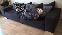 Video request Chantal - The Insurance Employees Part 3 of 5