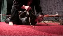 JJ Plush - hogtied by Delona