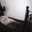 Cindy on the bed hogtied 1/2