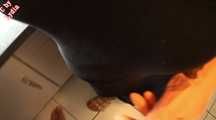 SPERM PIGGIES