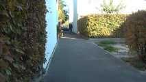 069004 Tiffany Stops For  A Casual Pee On The Footpath