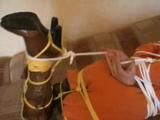 Niakriss tied - Part 1