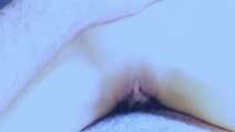 SEXFREAK STEFAN H.