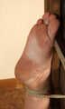 Ballgagged topless barefoot Albina Rose, bound to the rack, is tickled by the guy