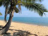 My sexy holidays in Koh Samui