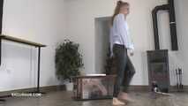 Bonnie Dolce's toilet slave
