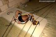 Marenka - Tied Inspirations 2