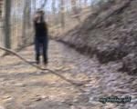 Barfuß im Wald 2