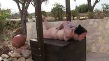 Clear Starps Ultra Hogtie for Minuit