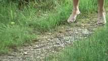 pee in the woods