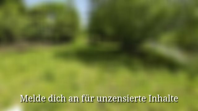 Am Spannerstrand Lesbensex