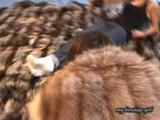 Anja, the fur slave 3