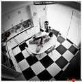 Hogtied on the kitchen table, part 1