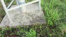 Best of  Pee