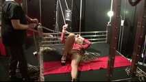 Another hard Lesson for sexy Lena King - humiliated in Public !