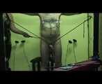 Femdom frenzy