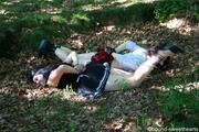 forest game / pics