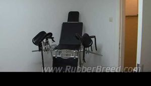 Male dog on the gynecological chair
