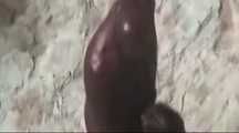 HIDDEN CAM AND FUCKING COUPLES