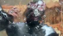 Watergame 3