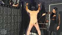 Whips for the Slavesass