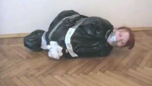 Liska: von der Kugel in der Mülltüte mit Klebeband zu entkommen