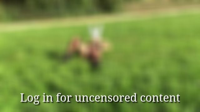 3 Videos aus meinen Anfängen