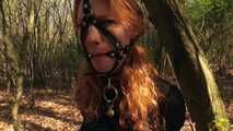 Punishment