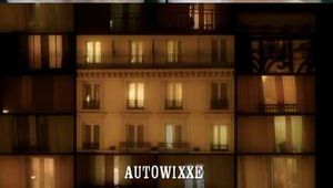 CAR WANKING
