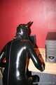 PC Dog