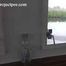 078031 Rachel Evans Pees In A Bottle On A Dutch Barge