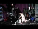 Baroness Mercedes - The Looser must fuck the Doll