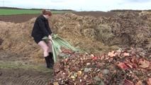 Jadirs Education - Rain, Leaves and hard work